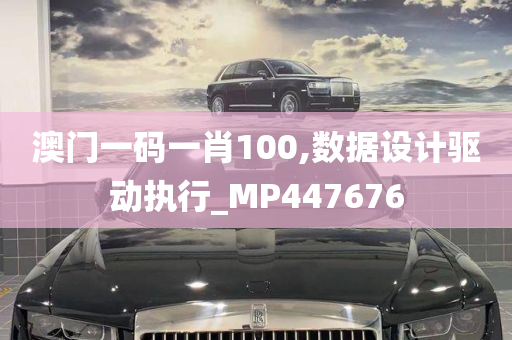 澳门一码一肖100,数据设计驱动执行_MP447676