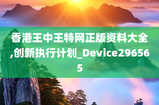 香港王中王特网正版资料大全,创新执行计划_Device296565