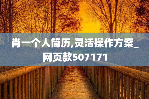 肖一个人简历,灵活操作方案_网页款507171