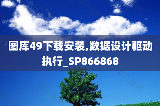 图库49下载安装,数据设计驱动执行_SP866868