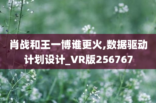 肖战和王一博谁更火,数据驱动计划设计_VR版256767