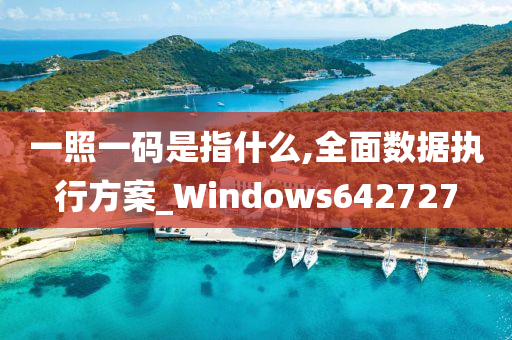 一照一码是指什么,全面数据执行方案_Windows642727