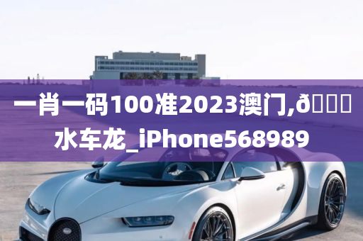 一肖一码100准2023澳门,🐎水车龙_iPhone568989