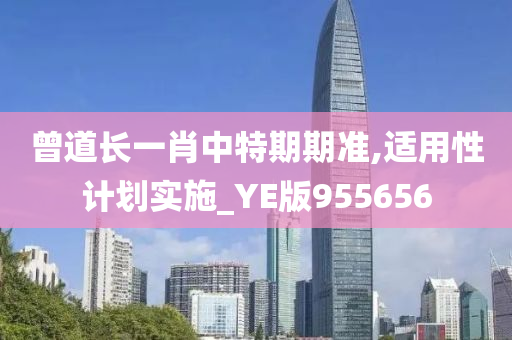 曾道长一肖中特期期准,适用性计划实施_YE版955656