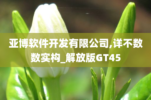 亚博软件开发有限公司,详不数数实构_解放版GT45