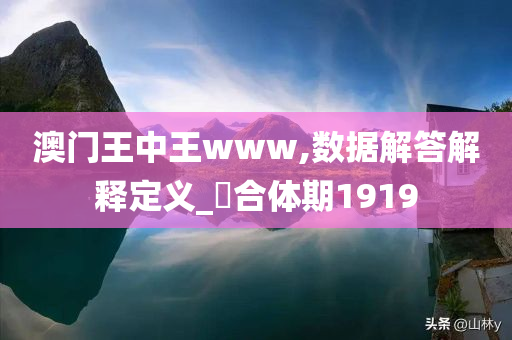 澳门王中王www,数据解答解释定义_‌合体期1919