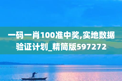 一码一肖100准中奖,实地数据验证计划_精简版597272