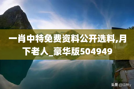 一肖中特免费资料公开选料,月下老人_豪华版504949