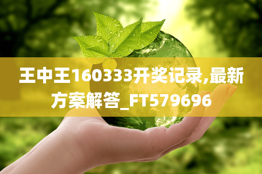 王中王160333开奖记录,最新方案解答_FT579696