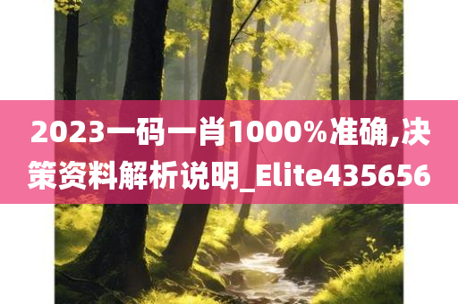 2023一码一肖1000%准确,决策资料解析说明_Elite435656