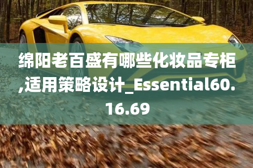 绵阳老百盛有哪些化妆品专柜,适用策略设计_Essential60.16.69