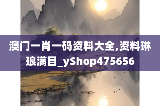 澳门一肖一码资料大全,资料琳琅满目_yShop475656