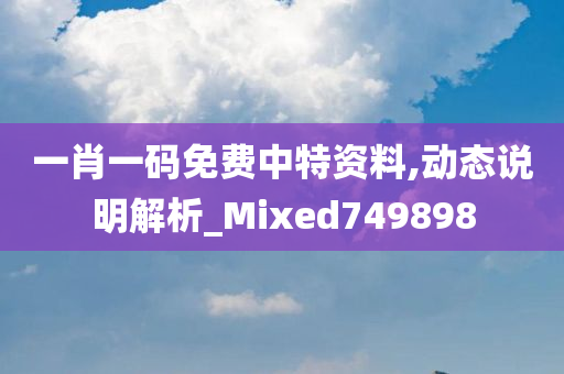 一肖一码免费中特资料,动态说明解析_Mixed749898