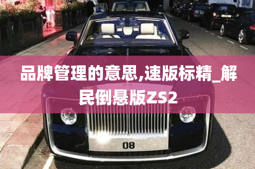 品牌管理的意思,速版标精_解民倒悬版ZS2