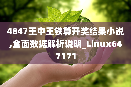 4847王中王铁算开奖结果小说,全面数据解析说明_Linux647171