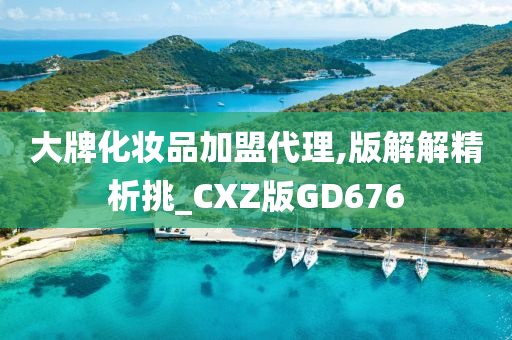 大牌化妆品加盟代理,版解解精析挑_CXZ版GD676