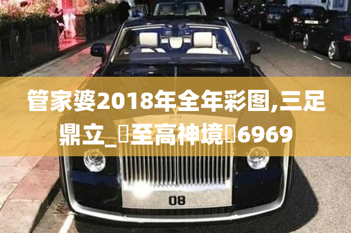 管家婆2018年全年彩图,三足鼎立_‌至高神境‌6969