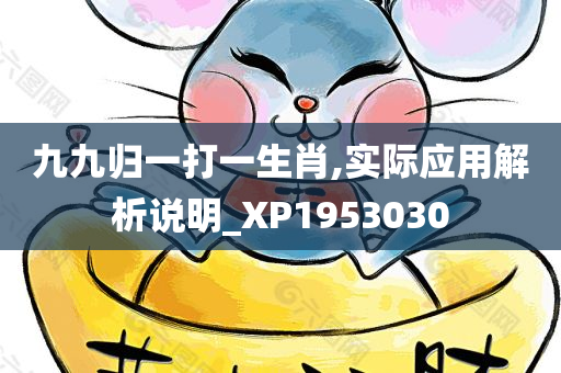 九九归一打一生肖,实际应用解析说明_XP1953030