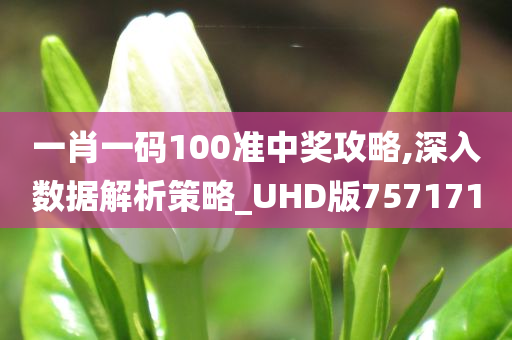 一肖一码100准中奖攻略,深入数据解析策略_UHD版757171