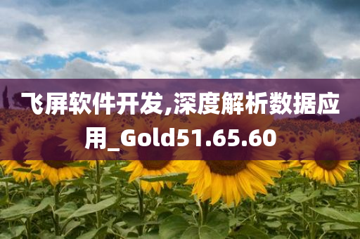 飞屏软件开发,深度解析数据应用_Gold51.65.60