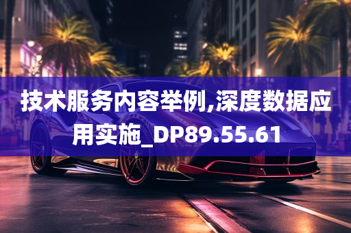 技术服务内容举例,深度数据应用实施_DP89.55.61