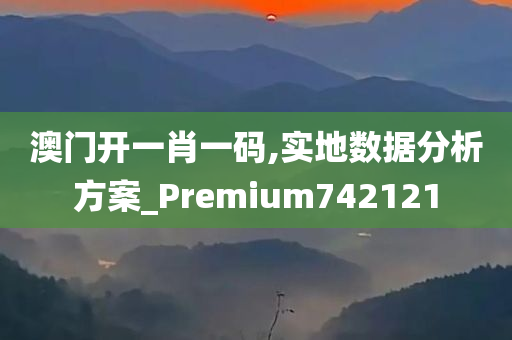 澳门开一肖一码,实地数据分析方案_Premium742121