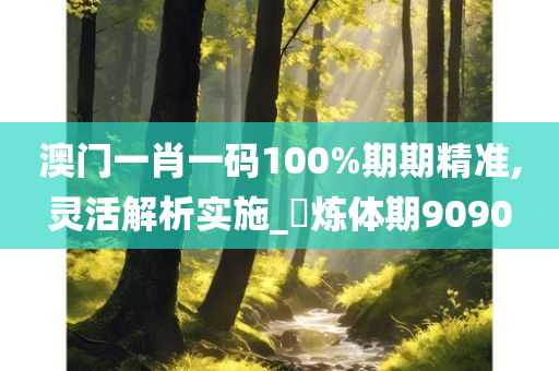 澳门一肖一码100%期期精准,灵活解析实施_‌炼体期9090