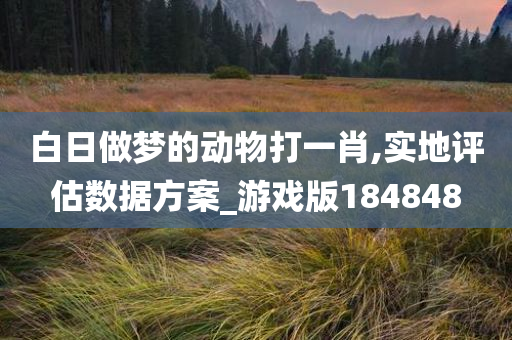 白日做梦的动物打一肖,实地评估数据方案_游戏版184848