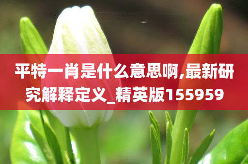 平特一肖是什么意思啊,最新研究解释定义_精英版155959