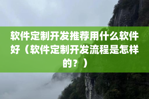 软件定制开发推荐用什么软件好（软件定制开发流程是怎样的？）