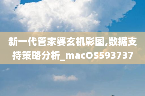 新一代管家婆玄机彩图,数据支持策略分析_macOS593737