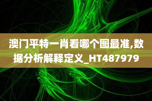 澳门平特一肖看哪个图最准,数据分析解释定义_HT487979