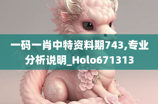 一码一肖中特资料期743,专业分析说明_Holo671313