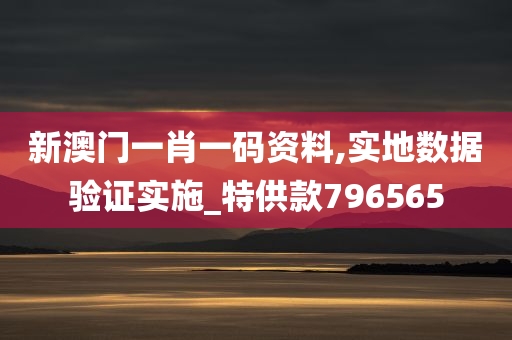 新澳门一肖一码资料,实地数据验证实施_特供款796565