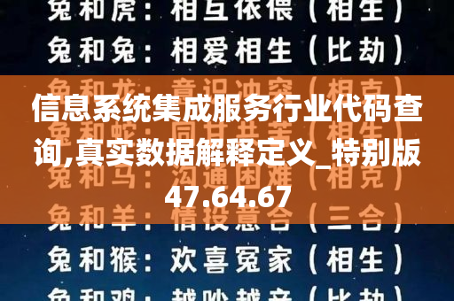 信息系统集成服务行业代码查询,真实数据解释定义_特别版47.64.67