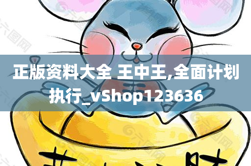 正版资料大全 王中王,全面计划执行_vShop123636