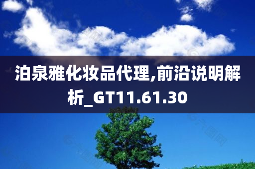 泊泉雅化妆品代理,前沿说明解析_GT11.61.30