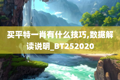 买平特一肖有什么技巧,数据解读说明_BT252020