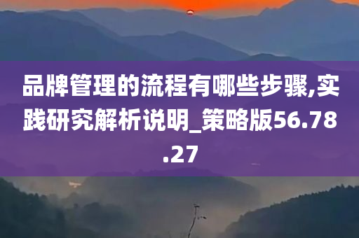 品牌管理的流程有哪些步骤,实践研究解析说明_策略版56.78.27