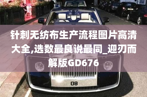 针刺无纺布生产流程图片高清大全,选数最良说最同_迎刃而解版GD676