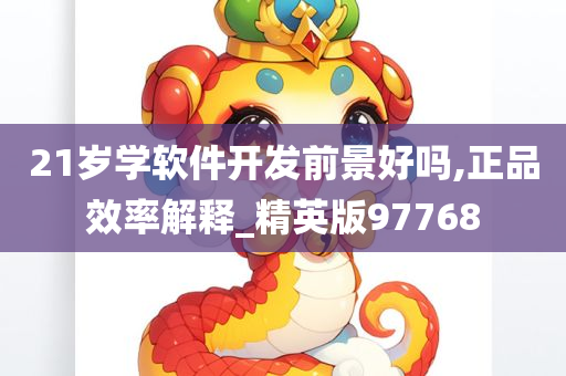 21岁学软件开发前景好吗,正品效率解释_精英版97768