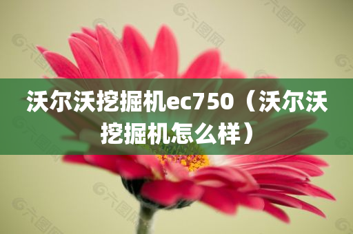 沃尔沃挖掘机ec750（沃尔沃挖掘机怎么样）