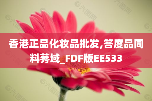 香港正品化妆品批发,答度品同料莠域_FDF版EE533