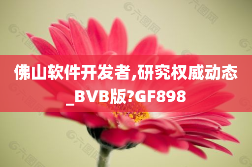 佛山软件开发者,研究权威动态_BVB版?GF898