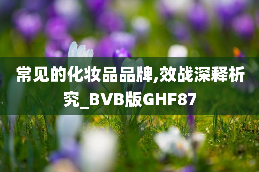 常见的化妆品品牌,效战深释析究_BVB版GHF87