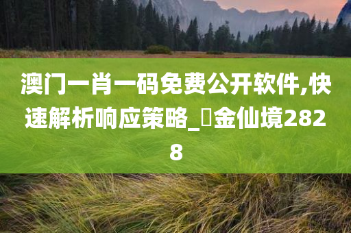 澳门一肖一码免费公开软件,快速解析响应策略_‌金仙境2828