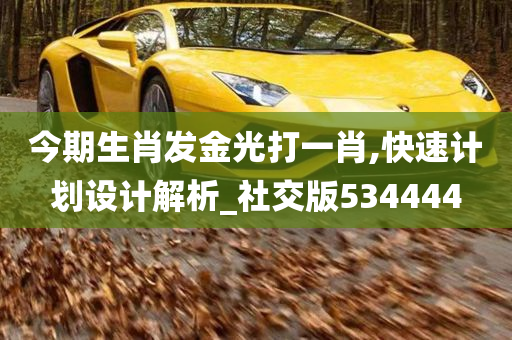 今期生肖发金光打一肖,快速计划设计解析_社交版534444