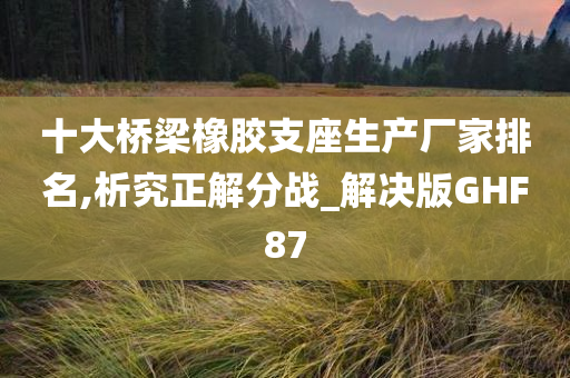 十大桥梁橡胶支座生产厂家排名,析究正解分战_解决版GHF87