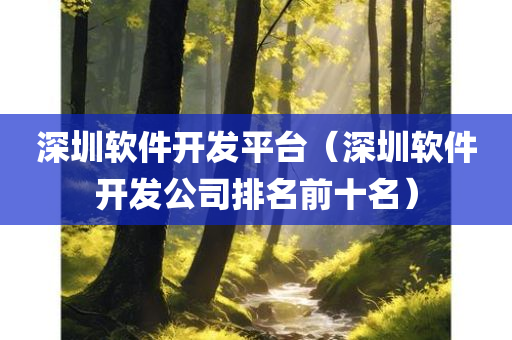 深圳软件开发平台（深圳软件开发公司排名前十名）