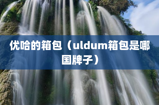 优哈的箱包（uldum箱包是哪国牌子）